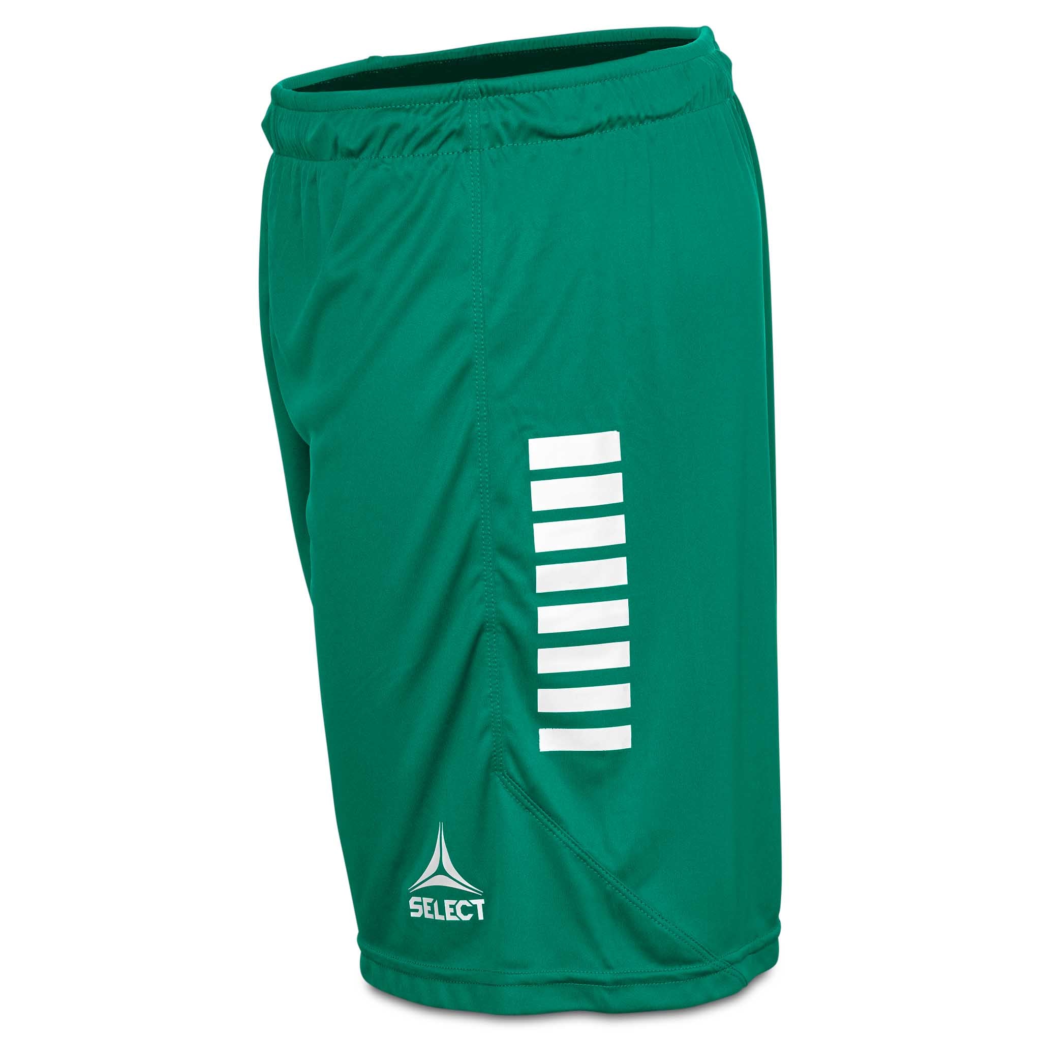 Grønne og hvite Player shorts Monaco v24, kamp- og treningstøy, sett fra høyre side med vertikal stripedetalj.
