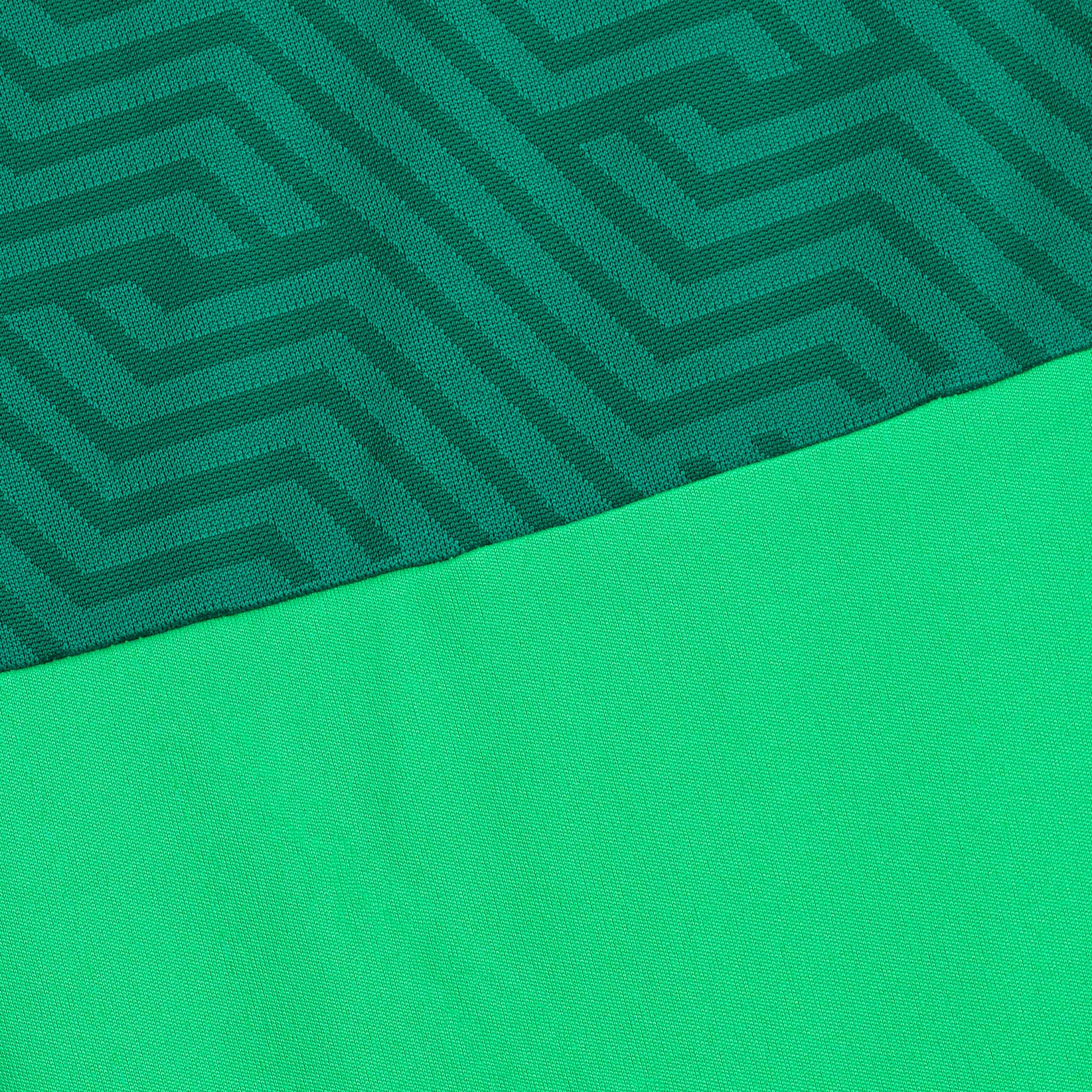 Nærbilde av Goalkeeper shirt Monaco v24, keeperklær, med grønt stoff med geometrisk mønster og glatt grønt panel.